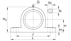 直立式軸承座單元 PASE20-TV-FA125.5, 塑料軸承座，帶偏心鎖圈的外球面球軸承，帶 Corrotect? 涂層，P型密封