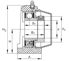 直立式軸承座單元 PSHE25-TV-FA125.5, 塑料軸承座，帶偏心鎖圈的外球面球軸承，帶 Corrotect? 涂層，P型密封