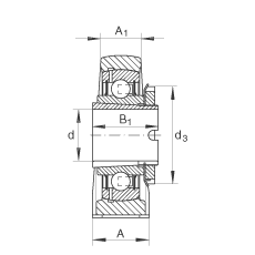 直立式軸承座單元 RASEA40-N, 鑄鐵軸承座，帶緊定套的外球面球軸承，R 型密封