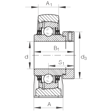 直立式軸承座單元 TSHE40-N, 鑄鐵軸承座，帶偏心鎖圈的外球面球軸承，T 型密封